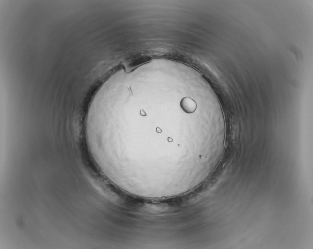 X0000110320455200906042047