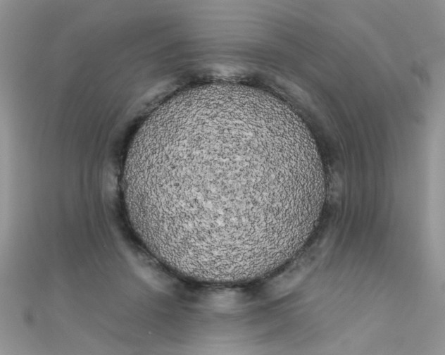 X0000110320456200906042047