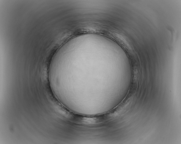 X0000110320457200906042047