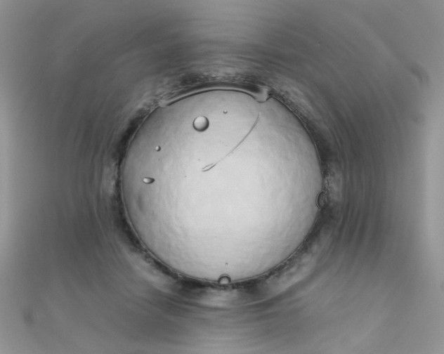 X0000110320458200906042047