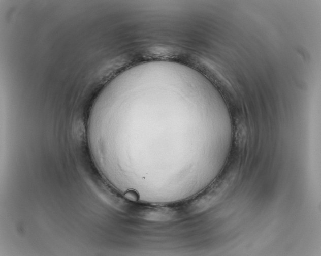 X0000110320459200906042047