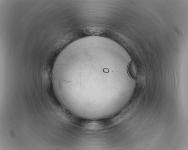 X0000110320460200906042047