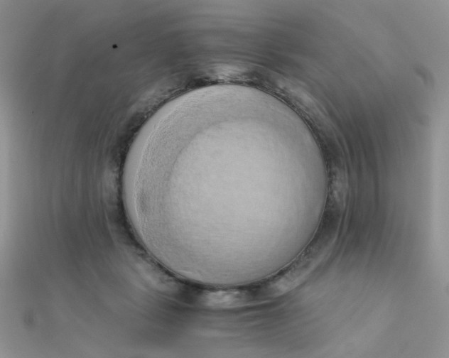 X0000110320461200906042047