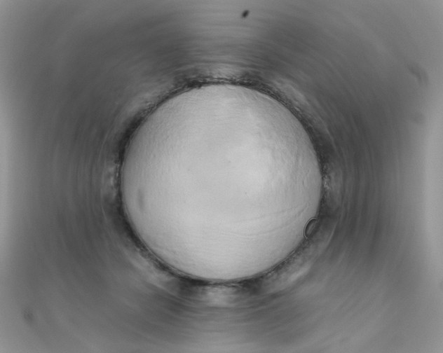 X0000110320462200906042047