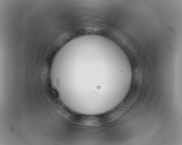 X0000110320463200906042047