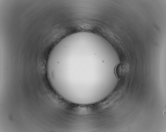 X0000110320464200906042047