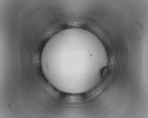 X0000110320466200906042047