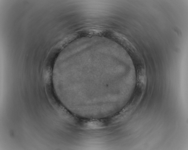 X0000110320468200906042047