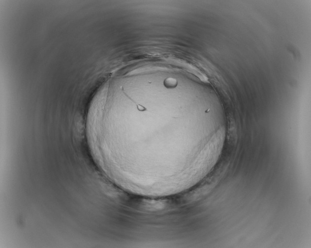 X0000110320469200906042047