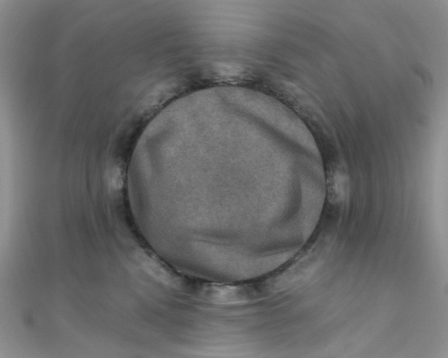 X0000110320472200906042047