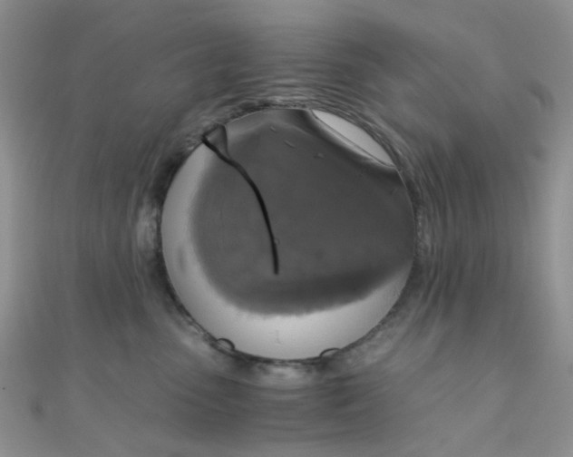 X0000110320475200906042047