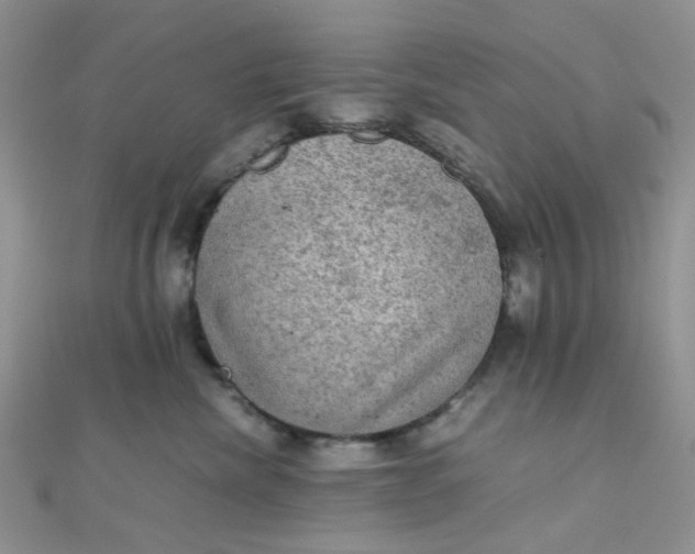 X0000110320476200906042047