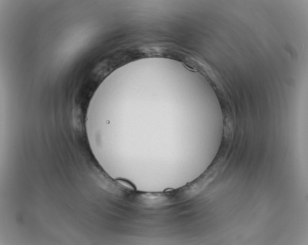 X0000110320477200906042047