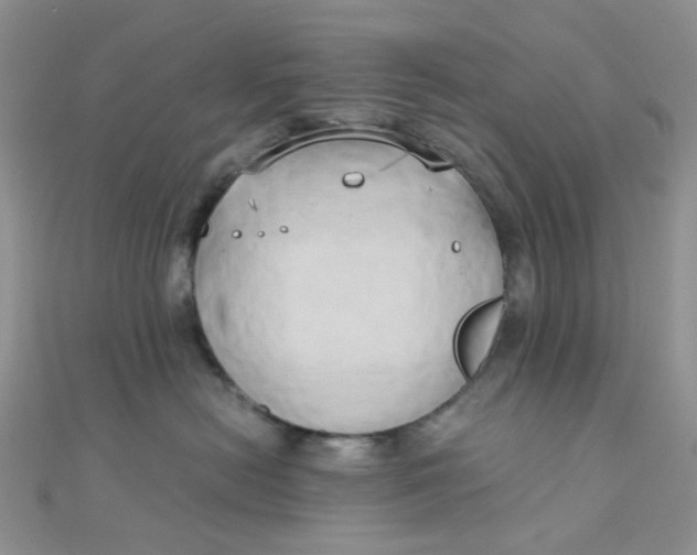 X0000110320478200906042047