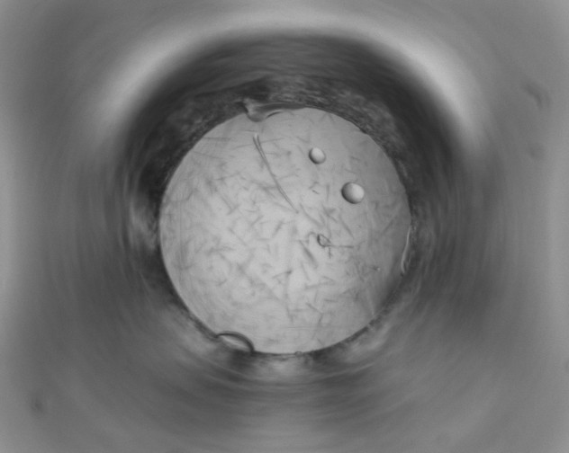 X0000110320479200906042047