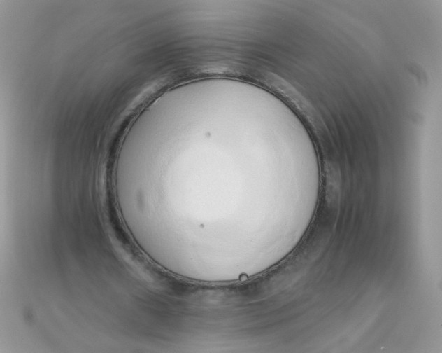 X0000110320482200906042047