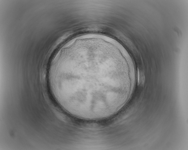 X0000110320483200906042047