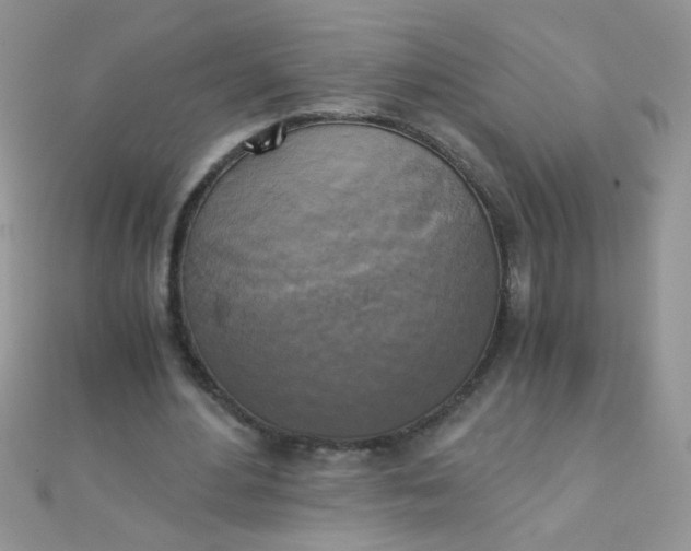 X0000110320484200906042047