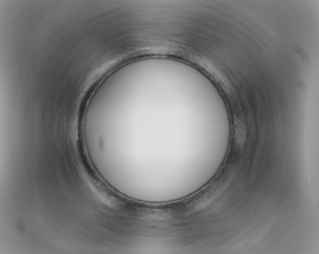 X0000110320486200906042047