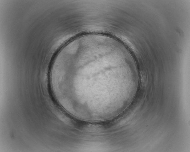 X0000110320487200906042047