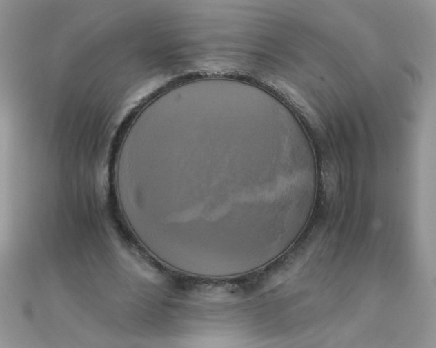 X0000110320488200906042047