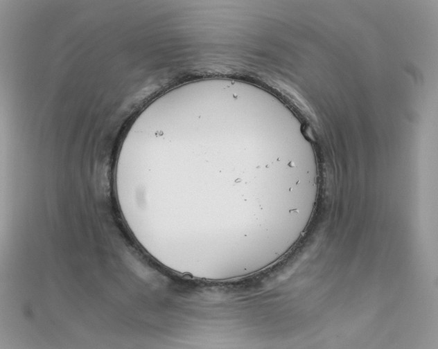 X0000110320489200906042047