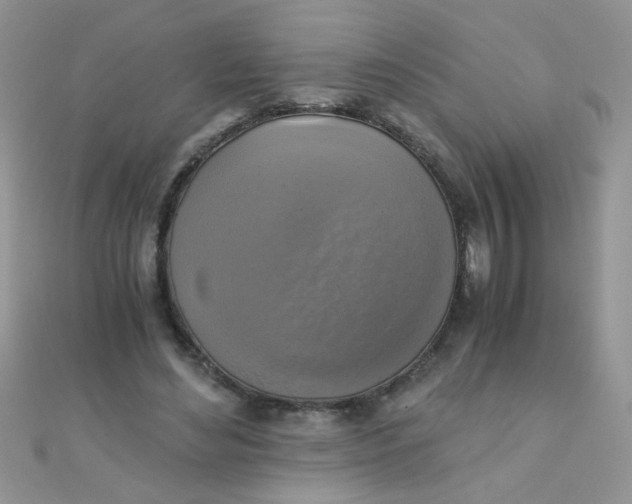 X0000110320492200906042047