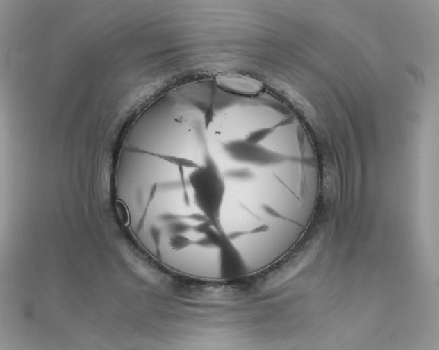 X0000110320493200906042046