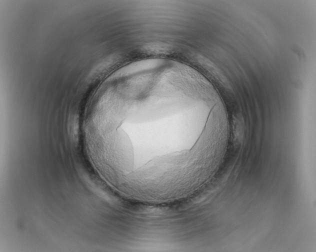 X0000110320494200906042046