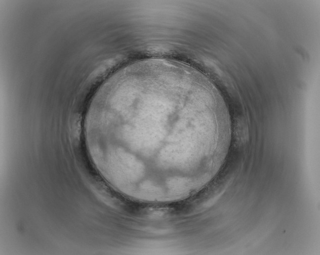 X0000110320495200906042046