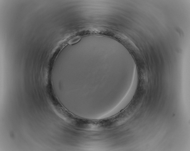 X0000110320496200906042046