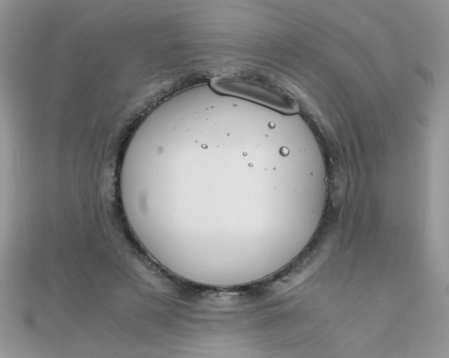 X0000110320497200906042046