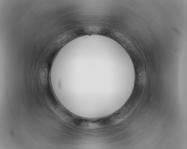 X0000110320498200906042046