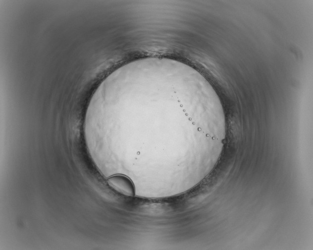 X0000110320499200906042046