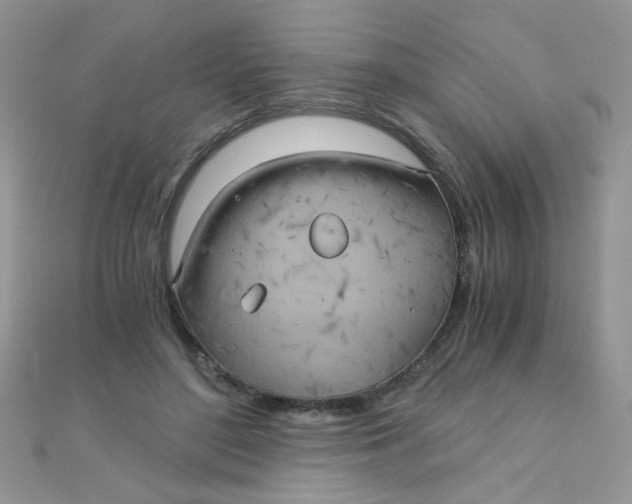 X0000110320500200906042046