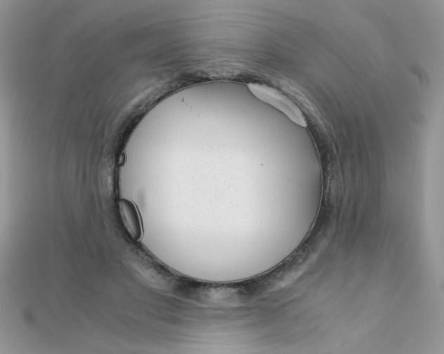 X0000110320501200906042046