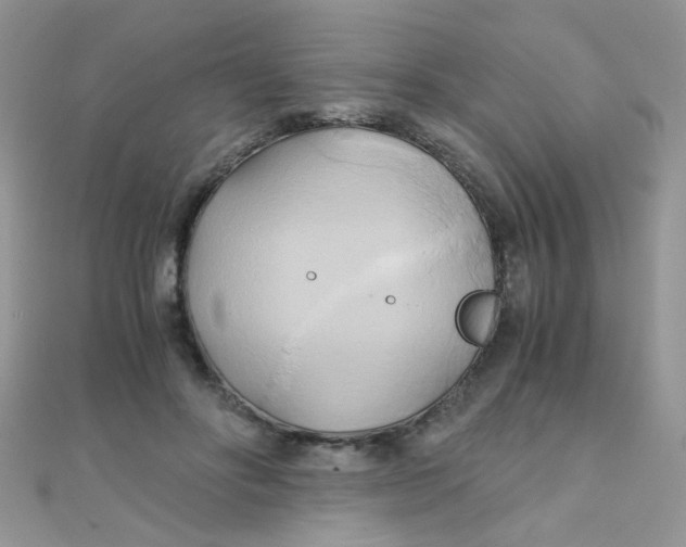 X0000110320502200906042046