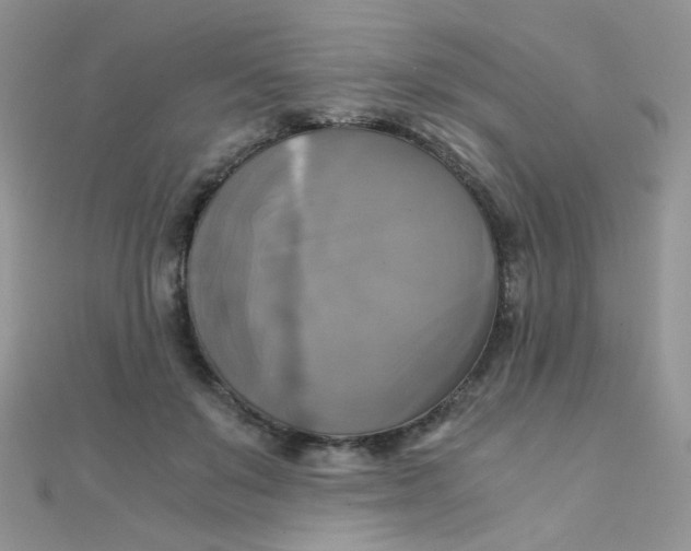 X0000110320503200906042046