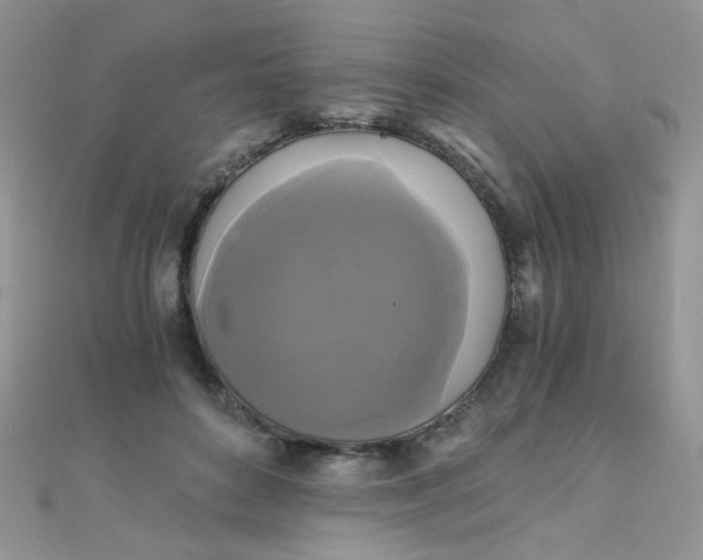 X0000110320504200906042046