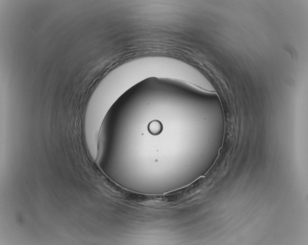 X0000110320505200906042046