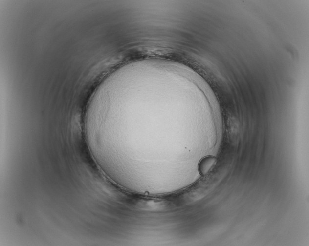 X0000110320506200906042046