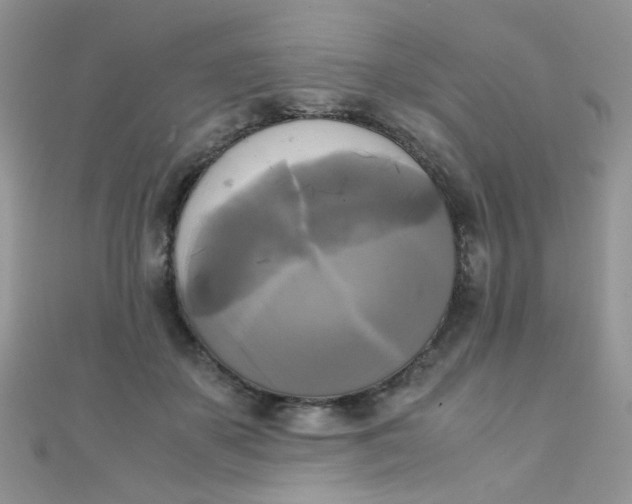 X0000110320507200906042046