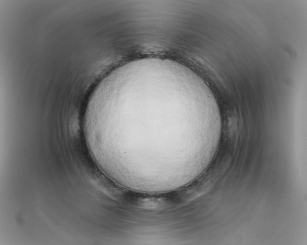 X0000110320508200906042046