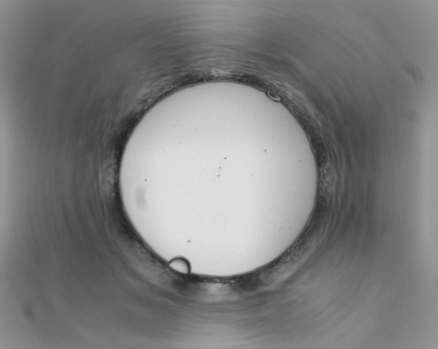 X0000110320509200906042046