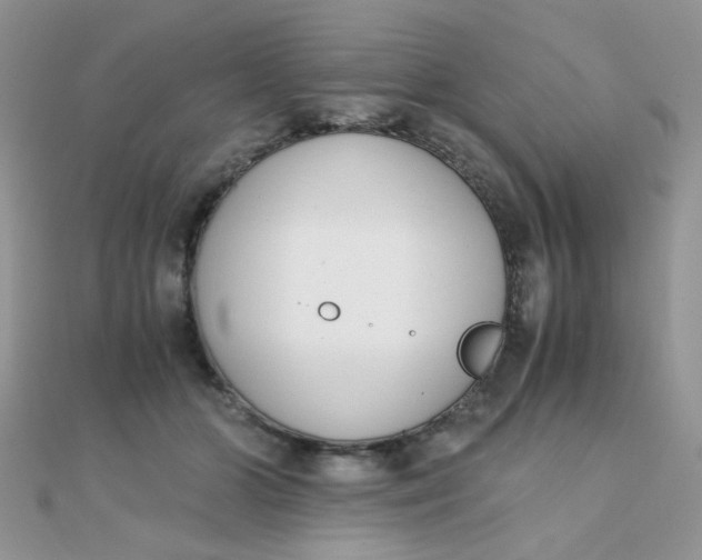 X0000110320510200906042046