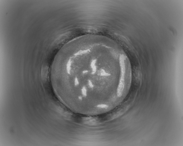 X0000110320511200906042046