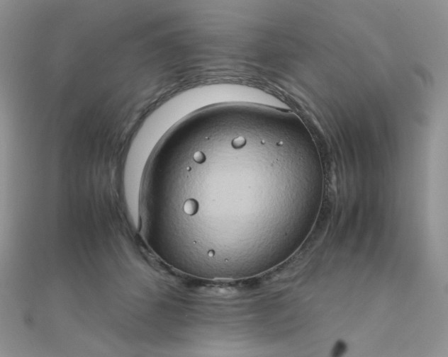 X0000110320512200906042046