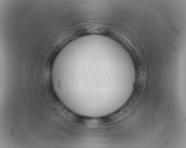 X0000110320513200906042046