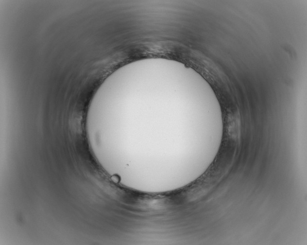 X0000110320514200906042046