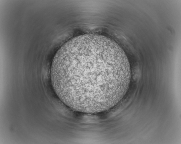 X0000110320515200906042046